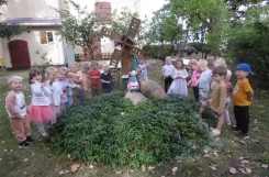P1000310