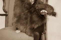 IMG_6320_sepia