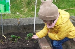 2023-04-26 - Żabki - Prace w ogrodzie przedszkolnym