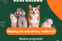 Zielony Organiczny Adoptuj Psa Plakat A3 - 1