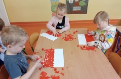 IMG20240430094020