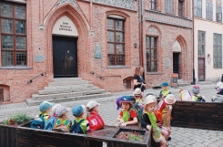 IMG20240619104418