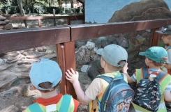 2024-07-17 - Motylki - Wycieczka do Ogrodu Zoobotanicznego