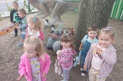 IMG2024090909222