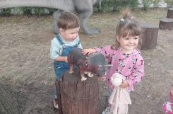 IMG2024090909231