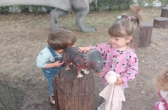 IMG20240909092311