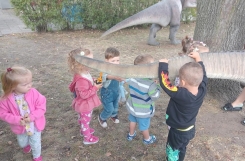 IMG2024090909240