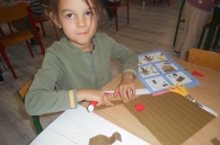 DSCN3007