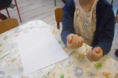 DSCN3076