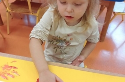 IMG20241023093426