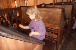 DSCN3145