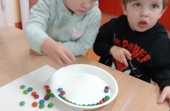 IMG20241118085213