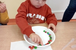 IMG20241118085217