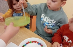 IMG20241118094859