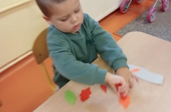 IMG20241022093408