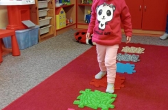 IMG2025021310155