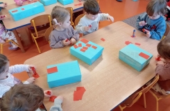 IMG20250220093419