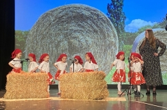 image009