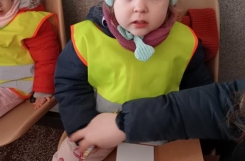 IMG20250306094712