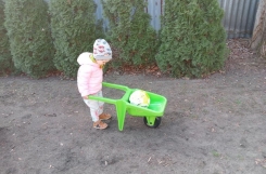 image003