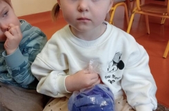 IMG20250407094308