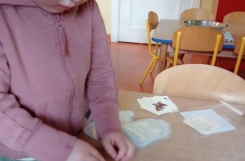 IMG202505081054