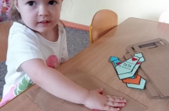 IMG202506050910