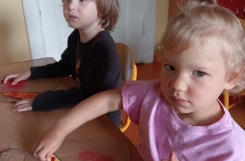 IMG202506051250