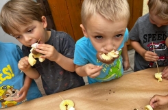 2025-07-08 - Kotki - Dzień czekolady